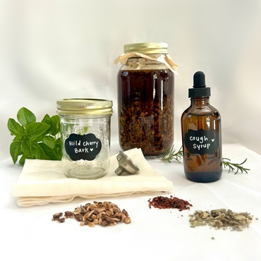 How to Build Your Home Apothecary DIY