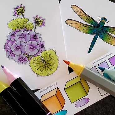 Alcohol Markers: Color Blend and Shade